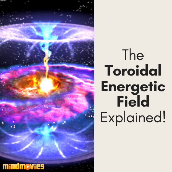Toroidal Energetic Field? What Tha?!