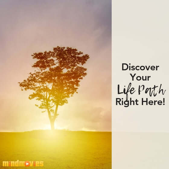 discover your life path