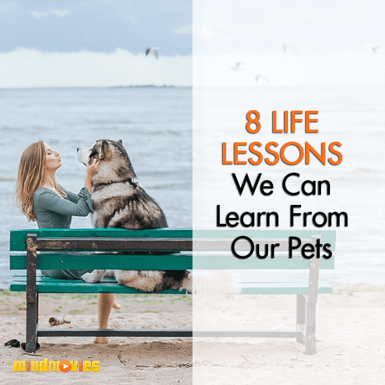 8 Life Lessons We Can Learn From Our Pets