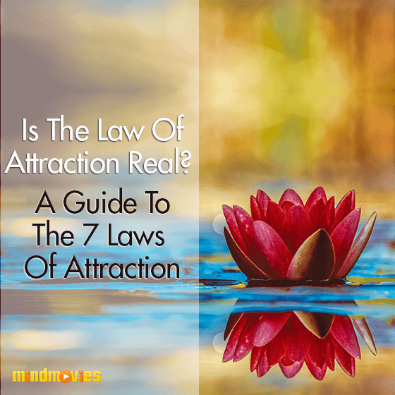 Is The Law Of Attraction Real? A Guide To The 7 Laws Of Attraction