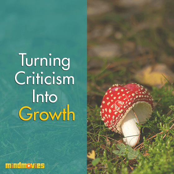 Turning Criticism Into Growth
