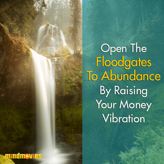 Open The Floodgates To Abundance By Raising Your Money Vibration