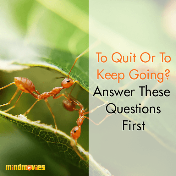 To Quit Or To Keep Going? Answer These Questions First