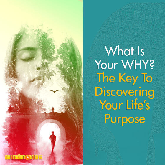 What Is Your WHY? The Key To Discovering Your Life's Purpose