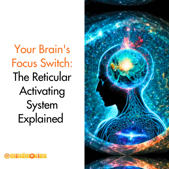 Your Brain's Focus Switch: The Reticular Activating System Explained